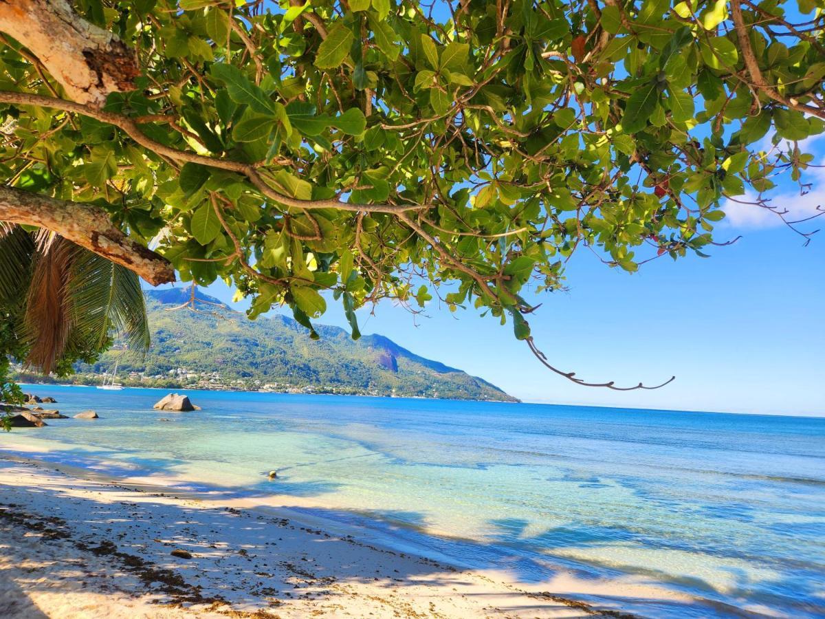 Vila Kaz Memel Beau Vallon  Exteriér fotografie