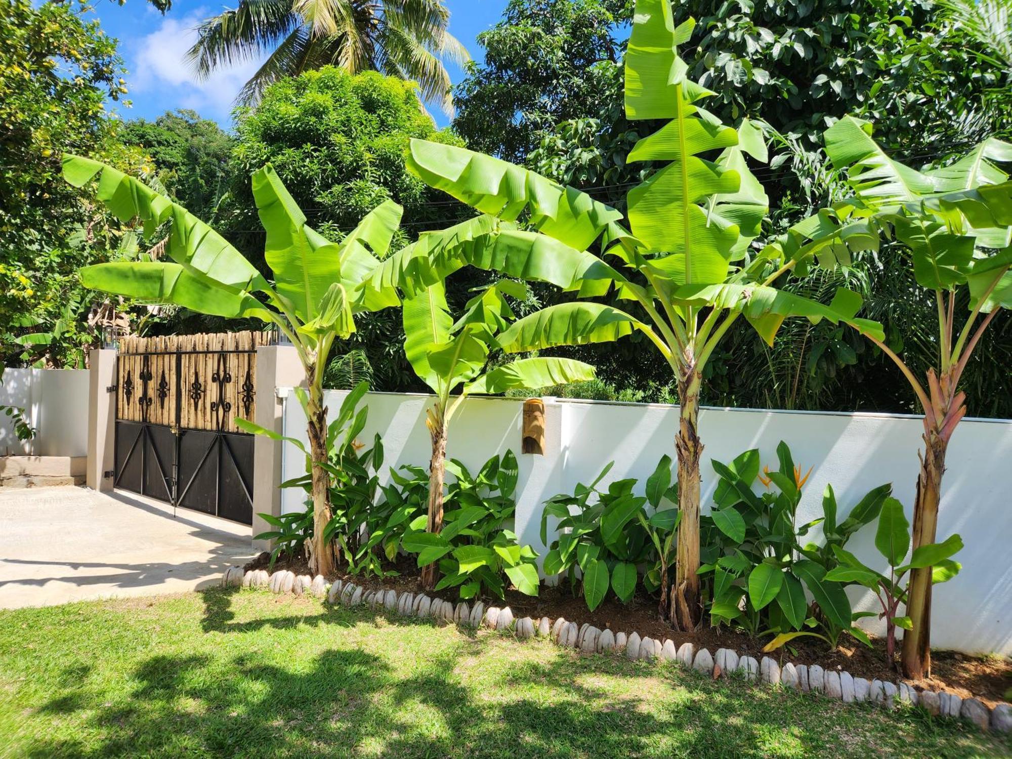 Vila Kaz Memel Beau Vallon  Exteriér fotografie