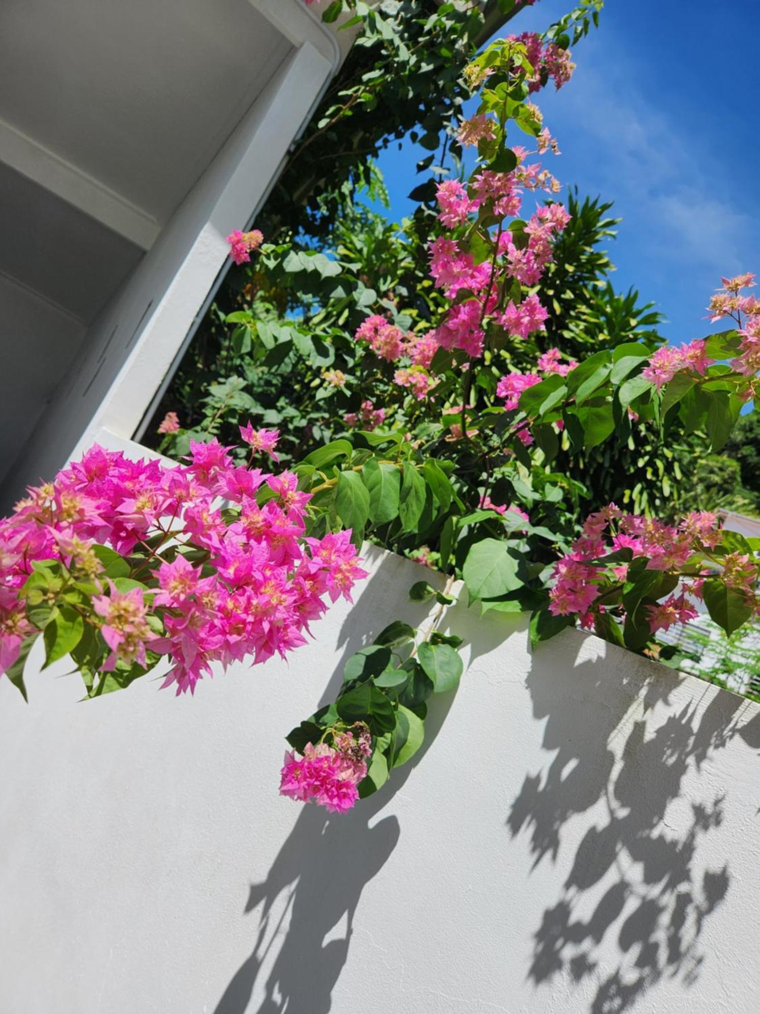 Vila Kaz Memel Beau Vallon  Exteriér fotografie