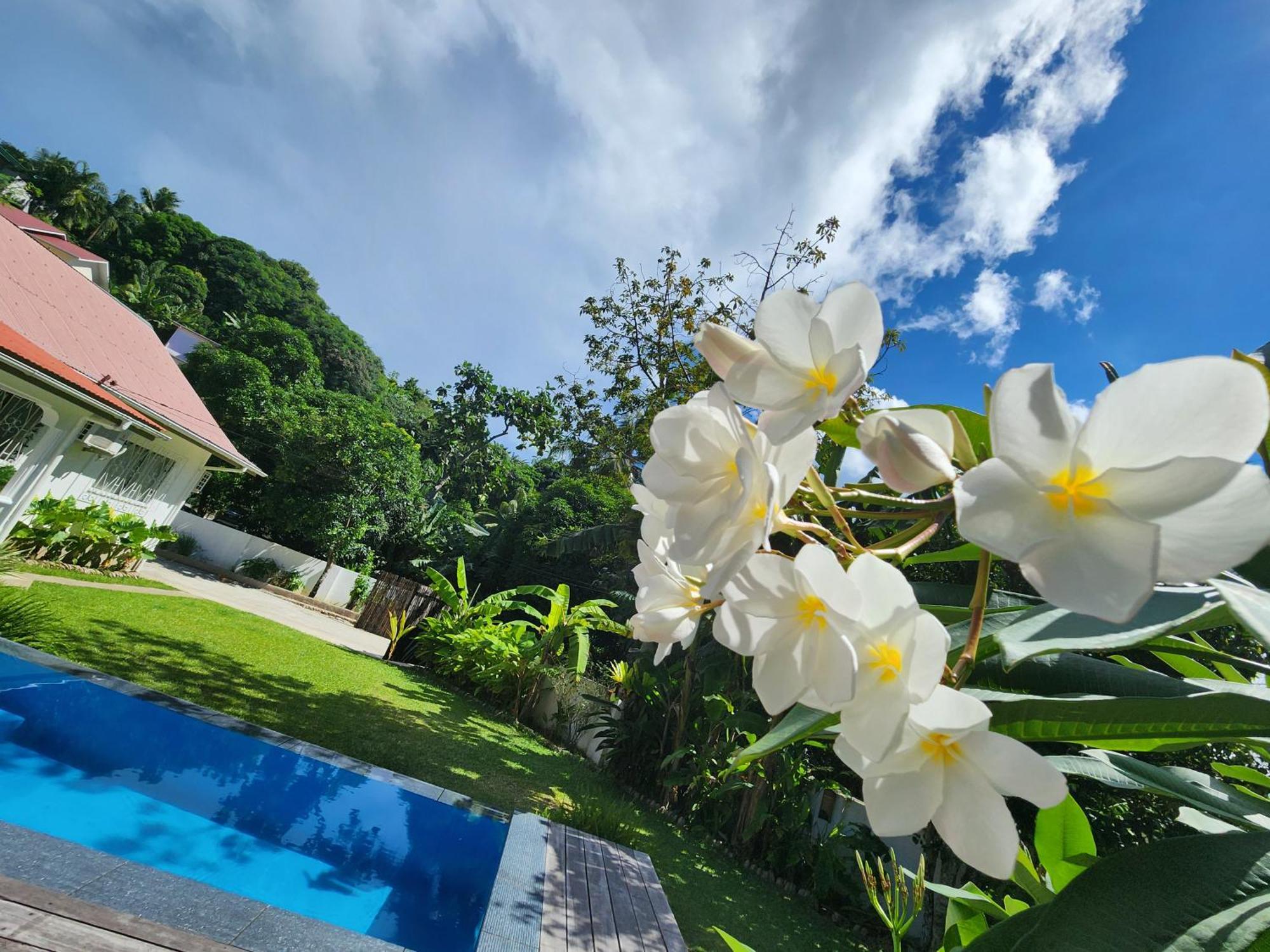 Vila Kaz Memel Beau Vallon  Exteriér fotografie
