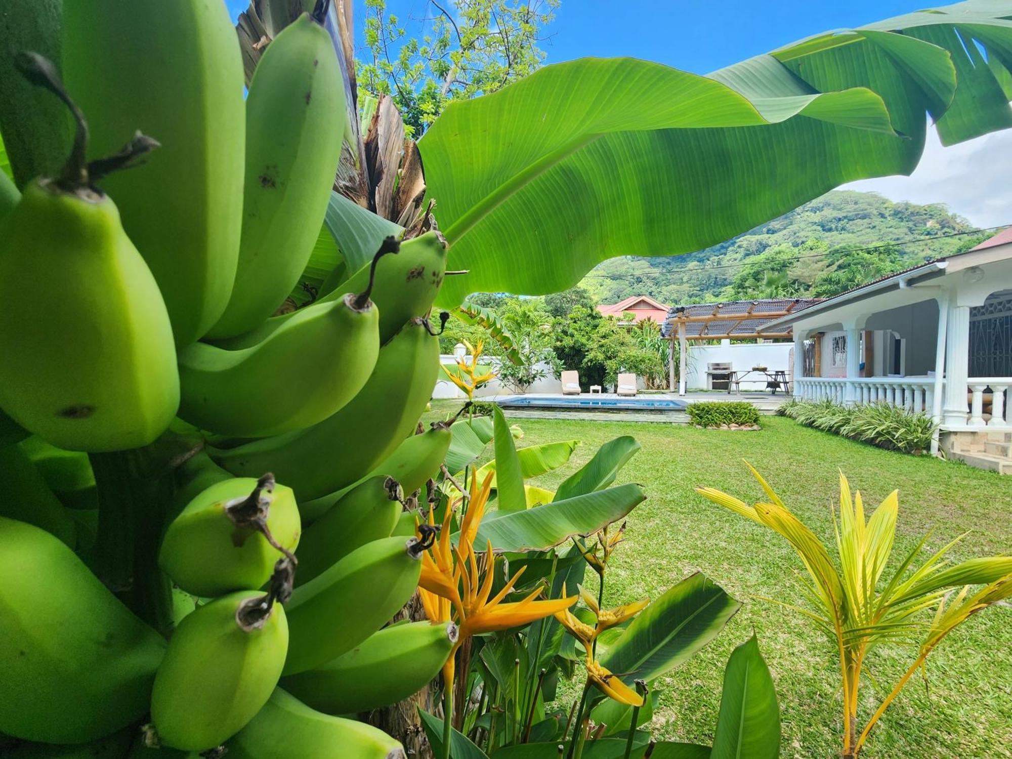 Vila Kaz Memel Beau Vallon  Exteriér fotografie